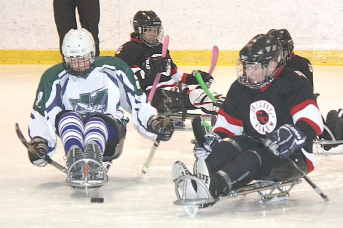 Sledge hockey tournament goes this weekend Sledge hockey tournament goes this weekend