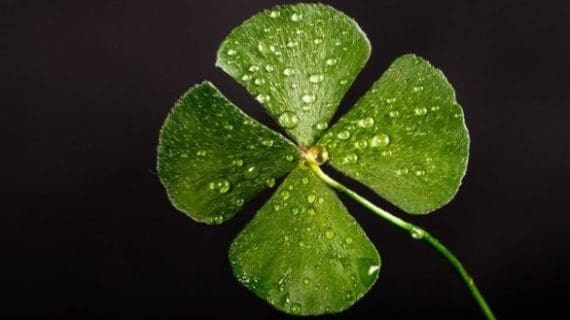 St. Patrick’s Day fundraiser coming up St. Patrick’s Day fundraiser coming up