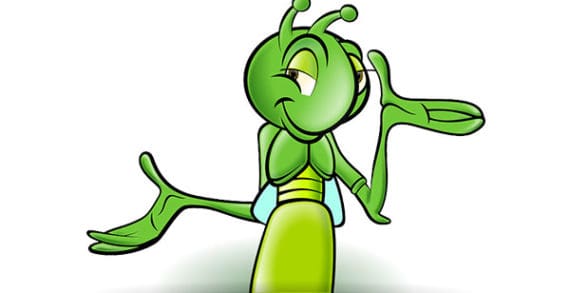 Jiminy Crickets! The truth about bugs as food Jiminy Crickets! The truth about bugs as food