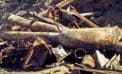 Trans Mountain pipeline hurdles never end Trans Mountain pipeline hurdles never end