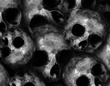 The Black Death and its aftermath The Black Death and its aftermath