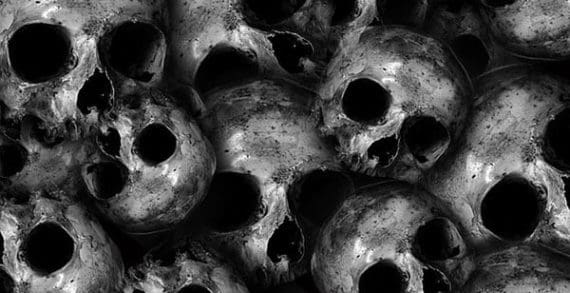 The Black Death and its aftermath The Black Death and its aftermath