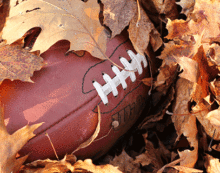 When will abusive coaches finally be kicked out of sports? When will abusive coaches finally be kicked out of sports?
