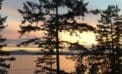 On wings and dorsal fins: how fall arrives on the West Coast On wings and dorsal fins: how fall arrives on the West Coast
