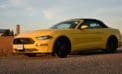 This pony has the speed and performance of a thoroughbred This pony has the speed and performance of a thoroughbred