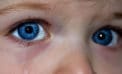 Put an end to the use of seclusion rooms for children Put an end to the use of seclusion rooms for children