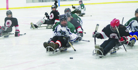 Kindersley Sledge enjoys success Kindersley Sledge enjoys success