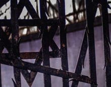 Canada helps preserve memory of Holocaust by buying Hitler’s book Canada helps preserve memory of Holocaust by buying Hitler’s book