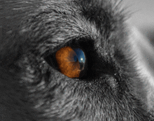 The fundamental flaw in coaching by instinct The fundamental flaw in coaching by instinct