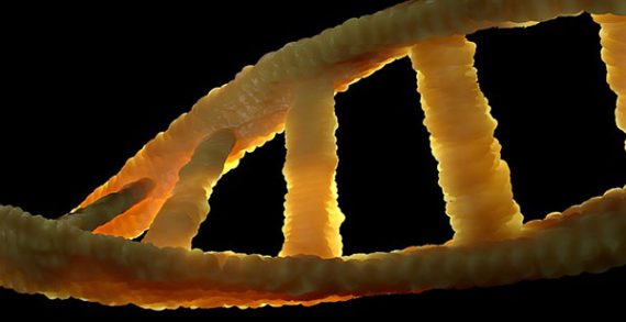 Using genes to attack disease with precision Using genes to attack disease with precision