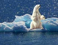 The clear and present danger of climate change The clear and present danger of climate change