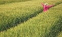 Genetic modification a crucial tool in feeding the world Genetic modification a crucial tool in feeding the world