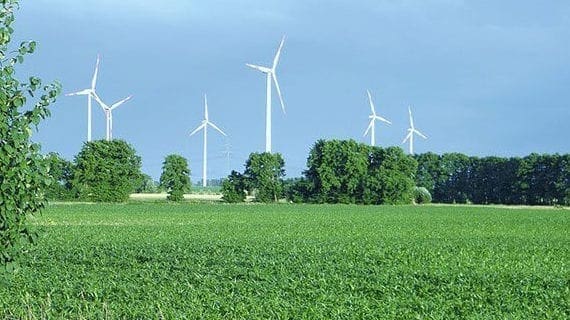 Green energy industries are impractical, destined to fail Green energy industries are impractical, destined to fail