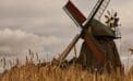 Green enviro-dreams based on fantasy, not science Green enviro-dreams based on fantasy, not science