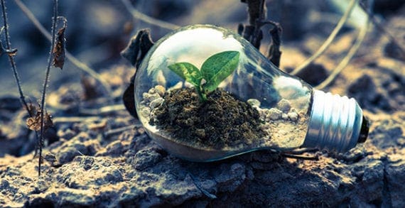 Clean/green movement won’t transform the economy quickly Clean/green movement won’t transform the economy quickly