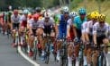Tour de France Motorists most consistently persecuted group in Canada