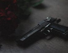 gun firearm weapon The high cost of ineffective anti-terror measures