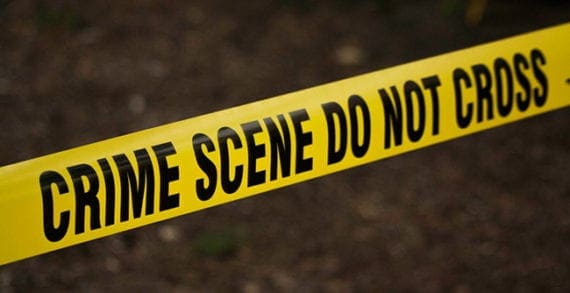 crime police Half measures won’t solve the problem with police