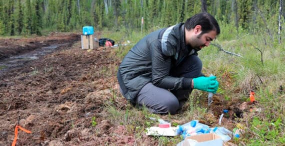 How changes in ancient soil microbes could predict Arctic future How changes in ancient soil microbes could predict Arctic future