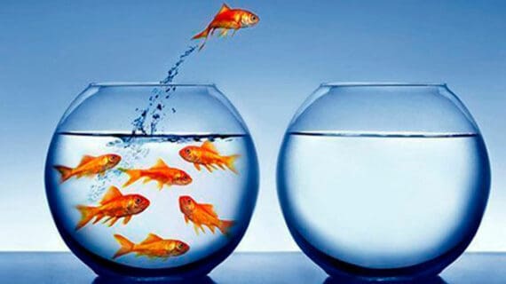 Three steps to creating your own job Three steps to creating your own job
