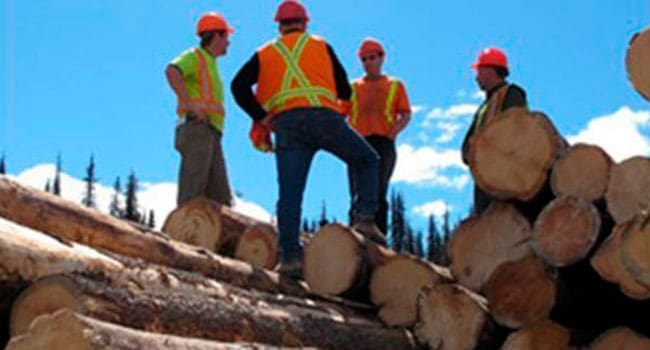 The post-truth world of the U.S. lumber industry