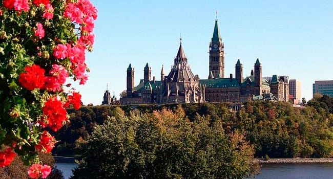 Time to unmask the creeps crawling Ottawa’s corridors of power