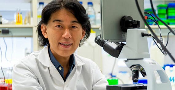 New drug to treat muscular dystrophy based on U of A research New drug to treat muscular dystrophy based on U of A research
