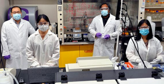 Salt-coated masks can kill COVID-19 Salt-coated masks can kill COVID-19