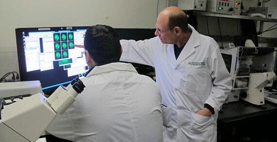 study-gel-like-nature-of-chromatin Landmark research could lead to better understanding of diseases