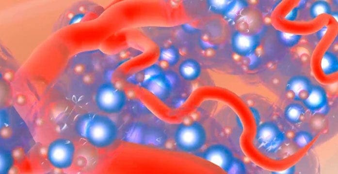 Diabetes cell Safer source of islet cells targeted for people with Type 1 diabetes