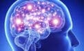 Multiple sclerosis Brain molecule helps ‘wake up’ cells that could help tackle MS: study