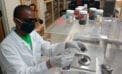 biochar Agricultural and forestry waste fanning the flames of innovation