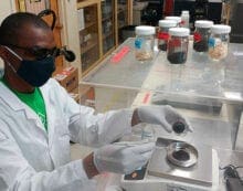 biochar Agricultural and forestry waste fanning the flames of innovation