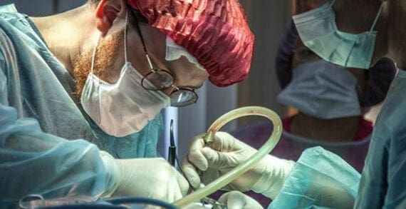 Plastic surgery covid Untreated non-COVID-19 patients just “collateral damage”