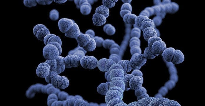 Disease Incidents of serious parasitic disease on the rise in Alberta
