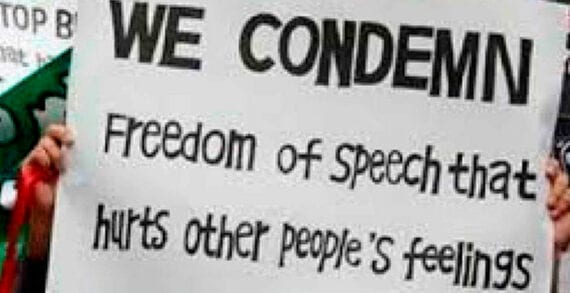 Free speech Democracy cannot survive if free speech is regulated by government