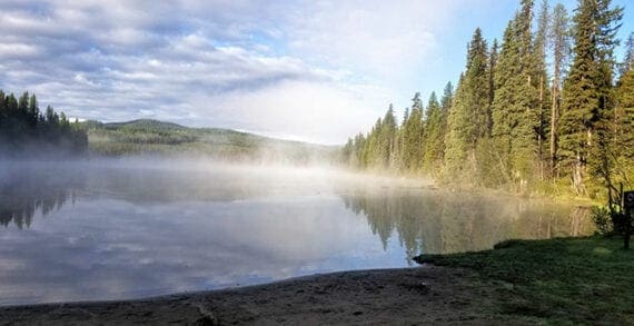 Morning Mist at Nancy Greene Provincial Park transport, bicycle ConnecTour Chronicles: A brush with heat stroke and then hypothermia