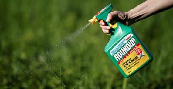 glyphosate roundup Why we shouldn’t demonize glyphosate