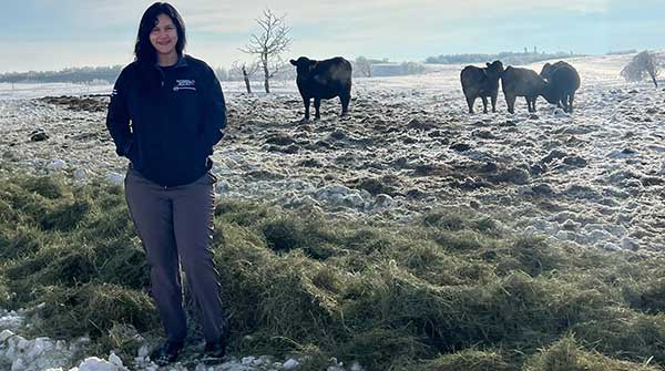 Are some cows better at weathering climate change?